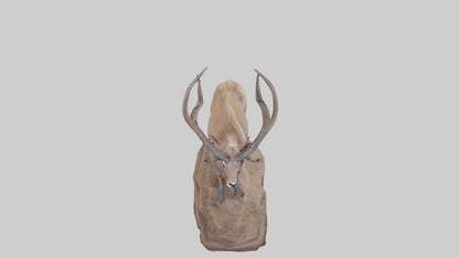 3D model Kudu statue model VR / AR / low-poly