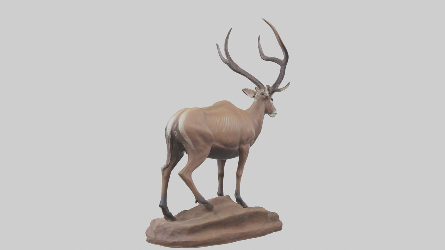 3D model Kudu statue model VR / AR / low-poly