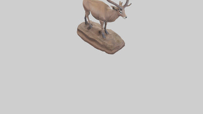 3D model Kudu statue model VR / AR / low-poly