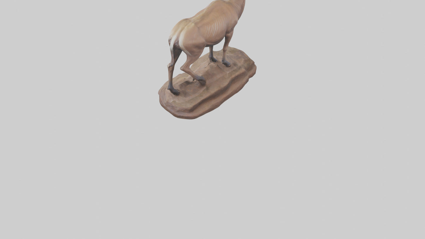 3D model Kudu statue model VR / AR / low-poly