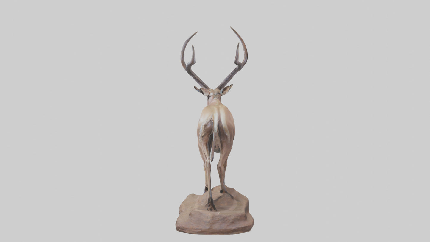 3D model Kudu statue model VR / AR / low-poly
