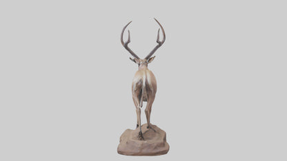 3D model Kudu statue model VR / AR / low-poly