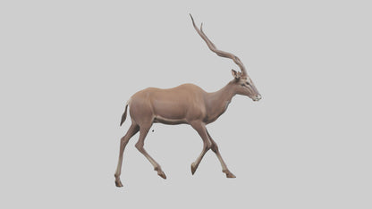 3D model Kudu walking through brush model VR / AR / low-poly