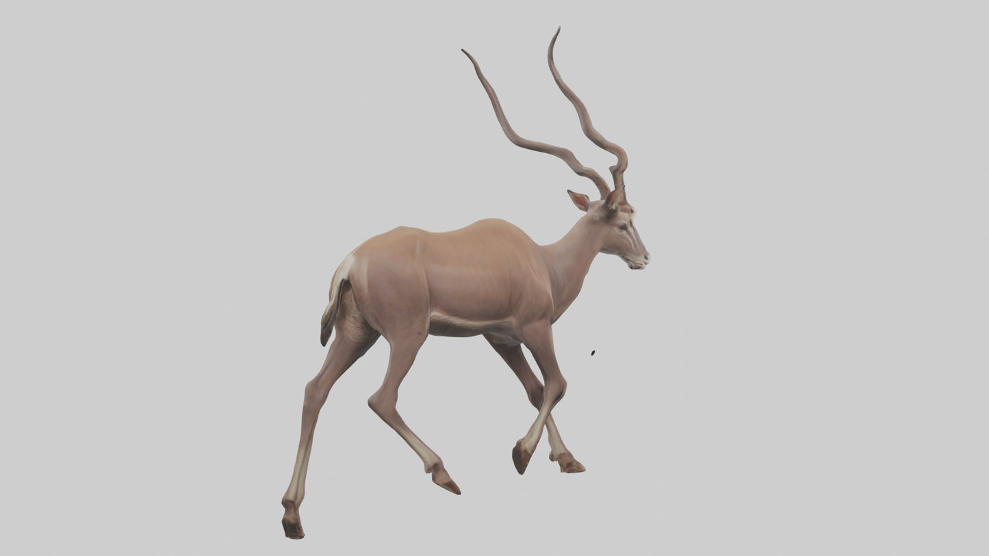 3D model Kudu walking through brush model VR / AR / low-poly
