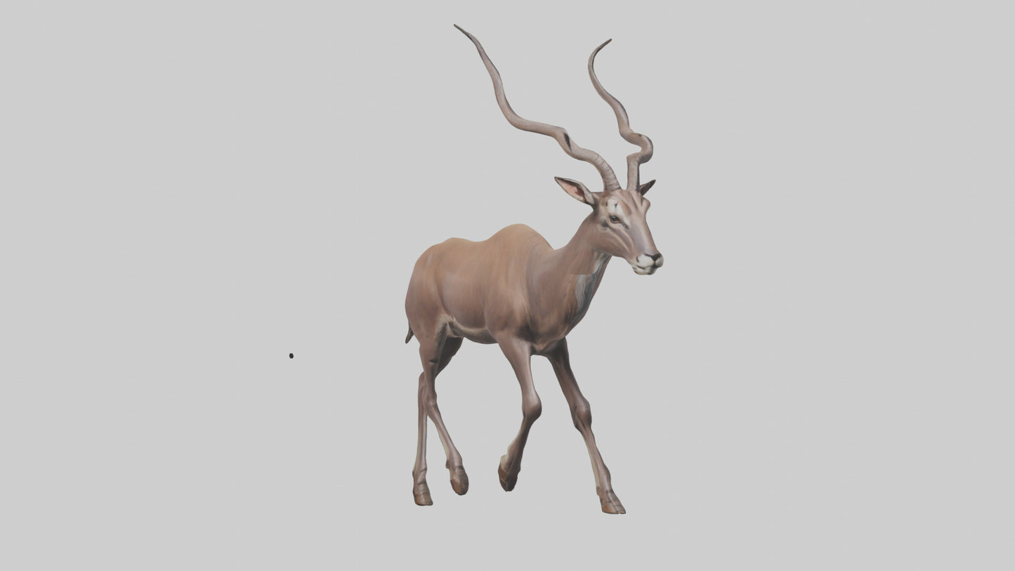 3D model Kudu walking through brush model VR / AR / low-poly