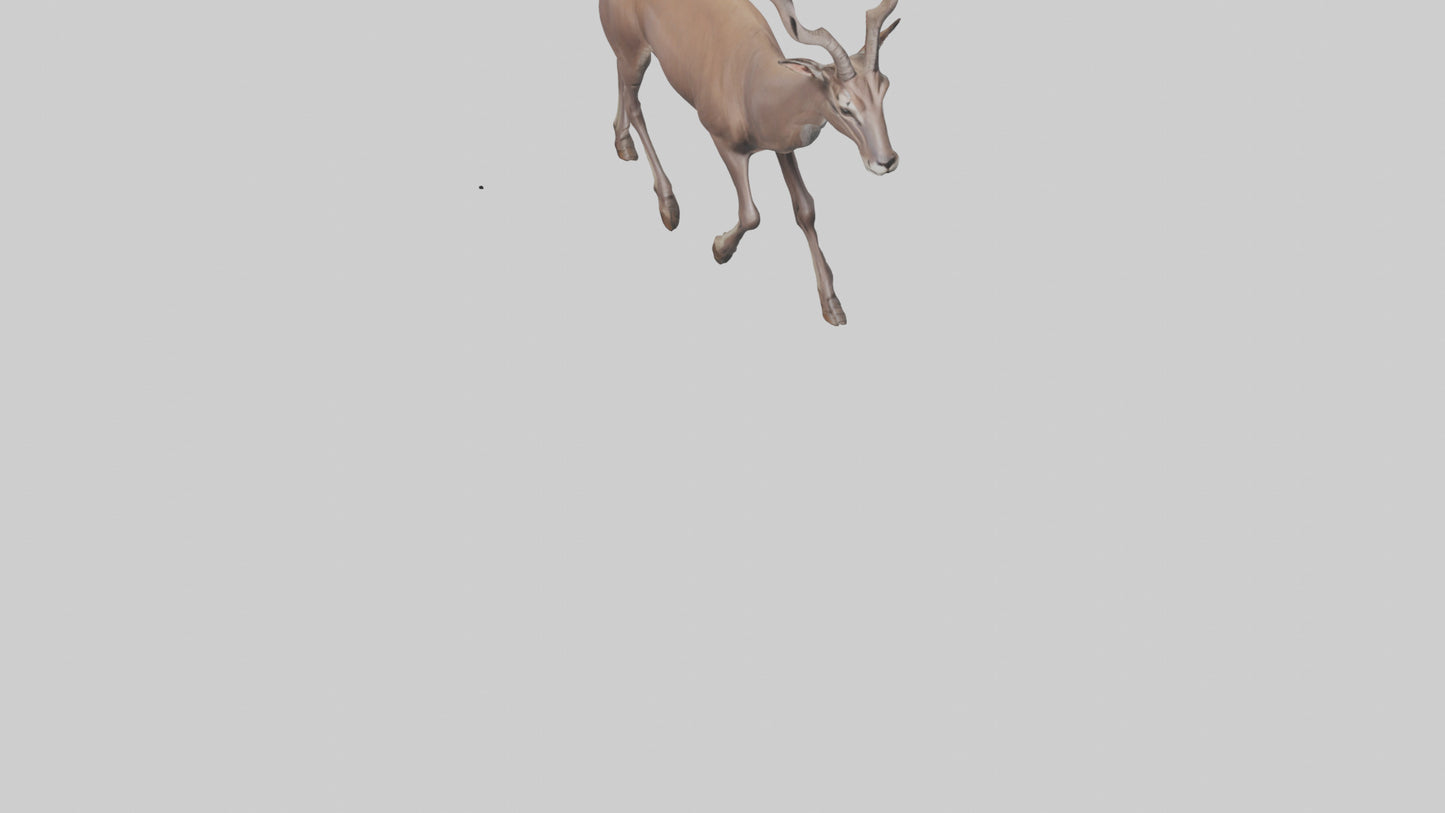 3D model Kudu walking through brush model VR / AR / low-poly