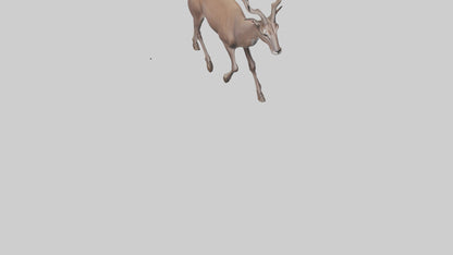 3D model Kudu walking through brush model VR / AR / low-poly