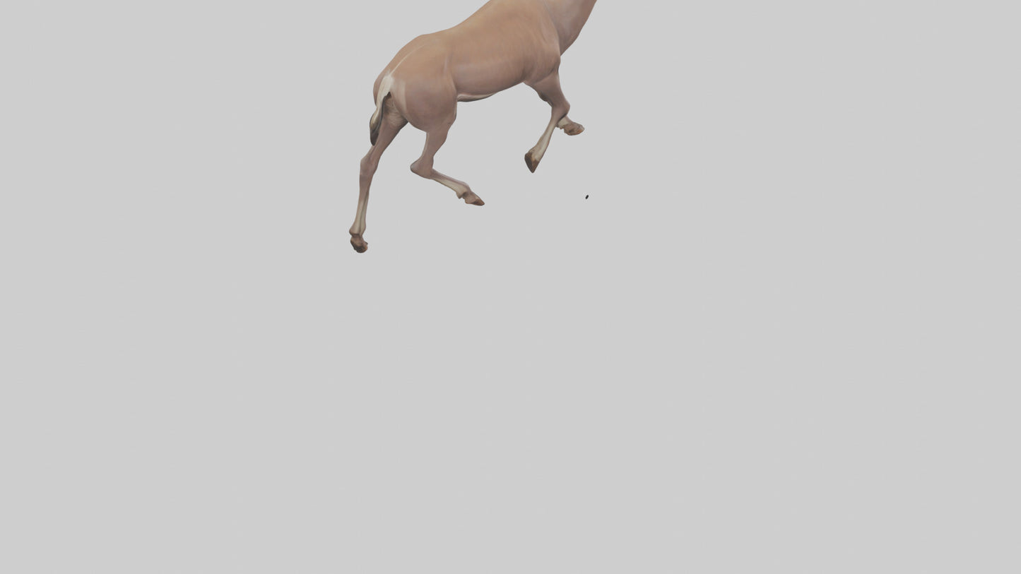 3D model Kudu walking through brush model VR / AR / low-poly