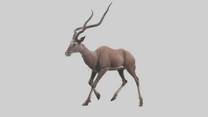3D model Kudu walking through brush model VR / AR / low-poly
