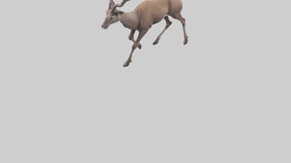 3D model Kudu walking through brush model VR / AR / low-poly