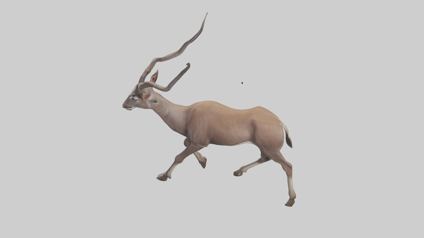 3D model Kudu walking through brush model VR / AR / low-poly