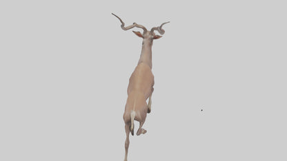 3D model Kudu walking through brush model VR / AR / low-poly