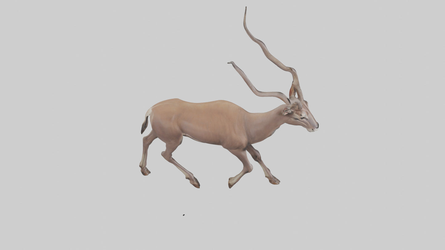 3D model Kudu walking through brush model VR / AR / low-poly