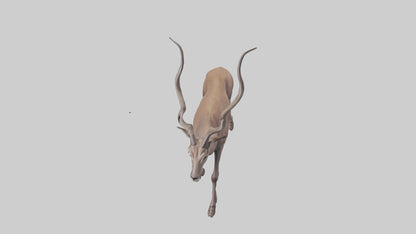 3D model Kudu walking through brush model VR / AR / low-poly