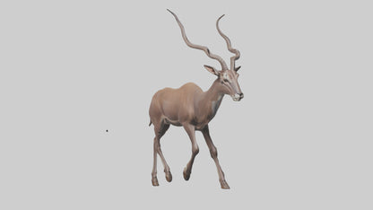 3D model Kudu walking through brush model VR / AR / low-poly
