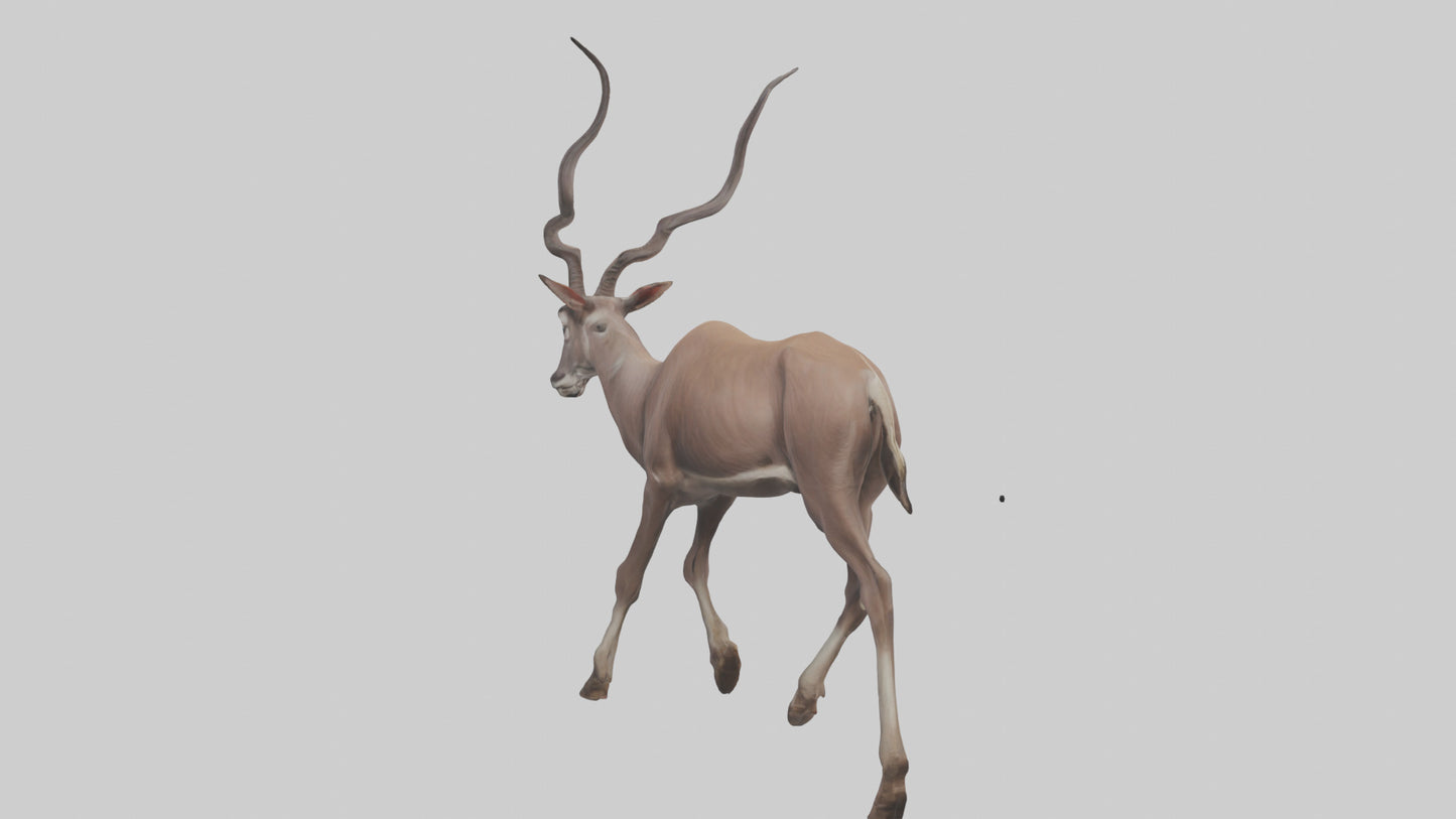 3D model Kudu walking through brush model VR / AR / low-poly