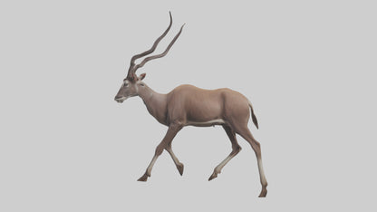 3D model Kudu walking through brush model VR / AR / low-poly