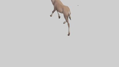 3D model Kudu walking through brush model VR / AR / low-poly