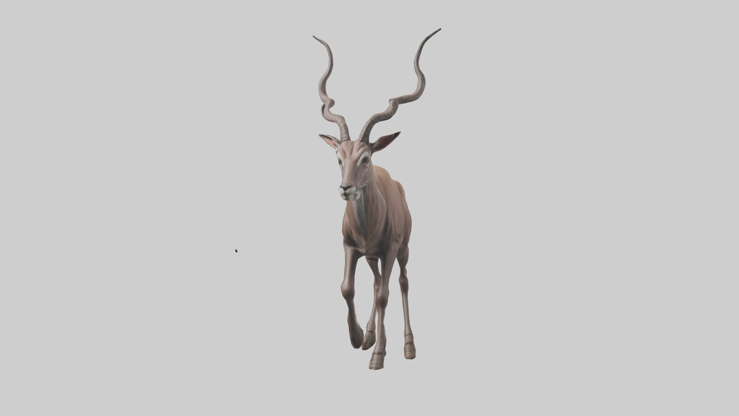 3D model Kudu walking through brush model VR / AR / low-poly