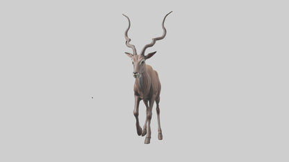 3D model Kudu walking through brush model VR / AR / low-poly