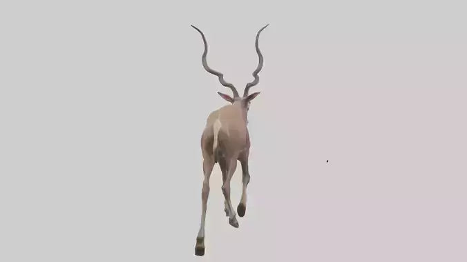 3D model Kudu walking through brush model VR / AR / low-poly