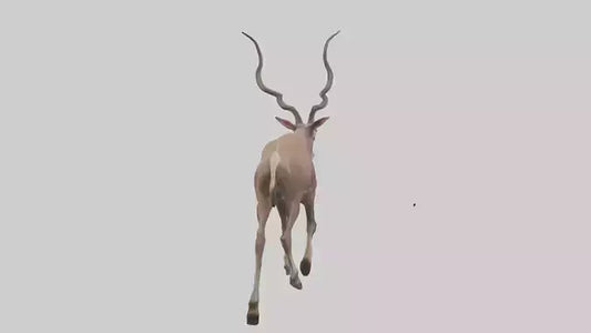 3D model Kudu walking through brush model VR / AR / low-poly