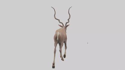 3D model Kudu walking through brush model VR / AR / low-poly
