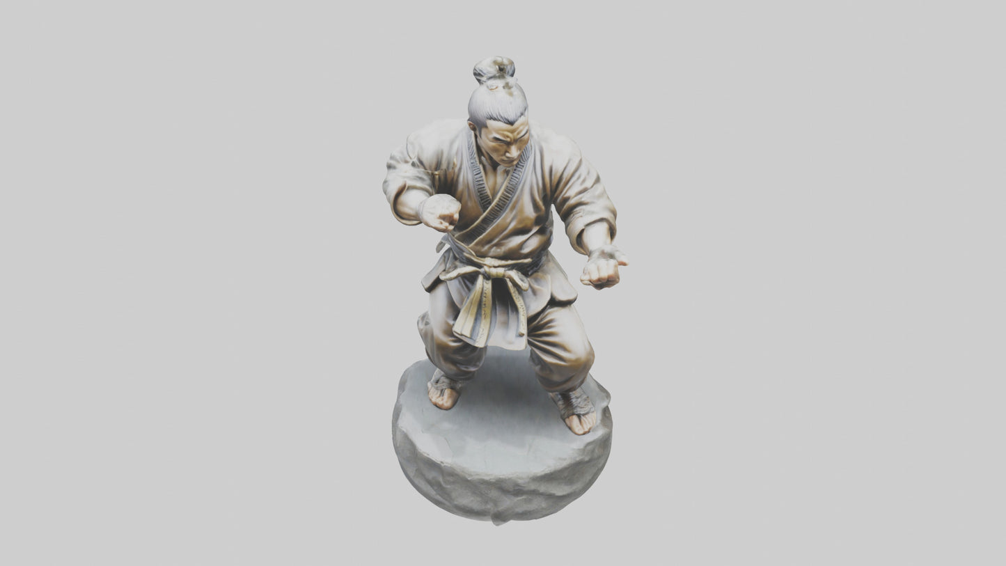 3D model Kung Fu Fighter statue model VR / AR / low-poly