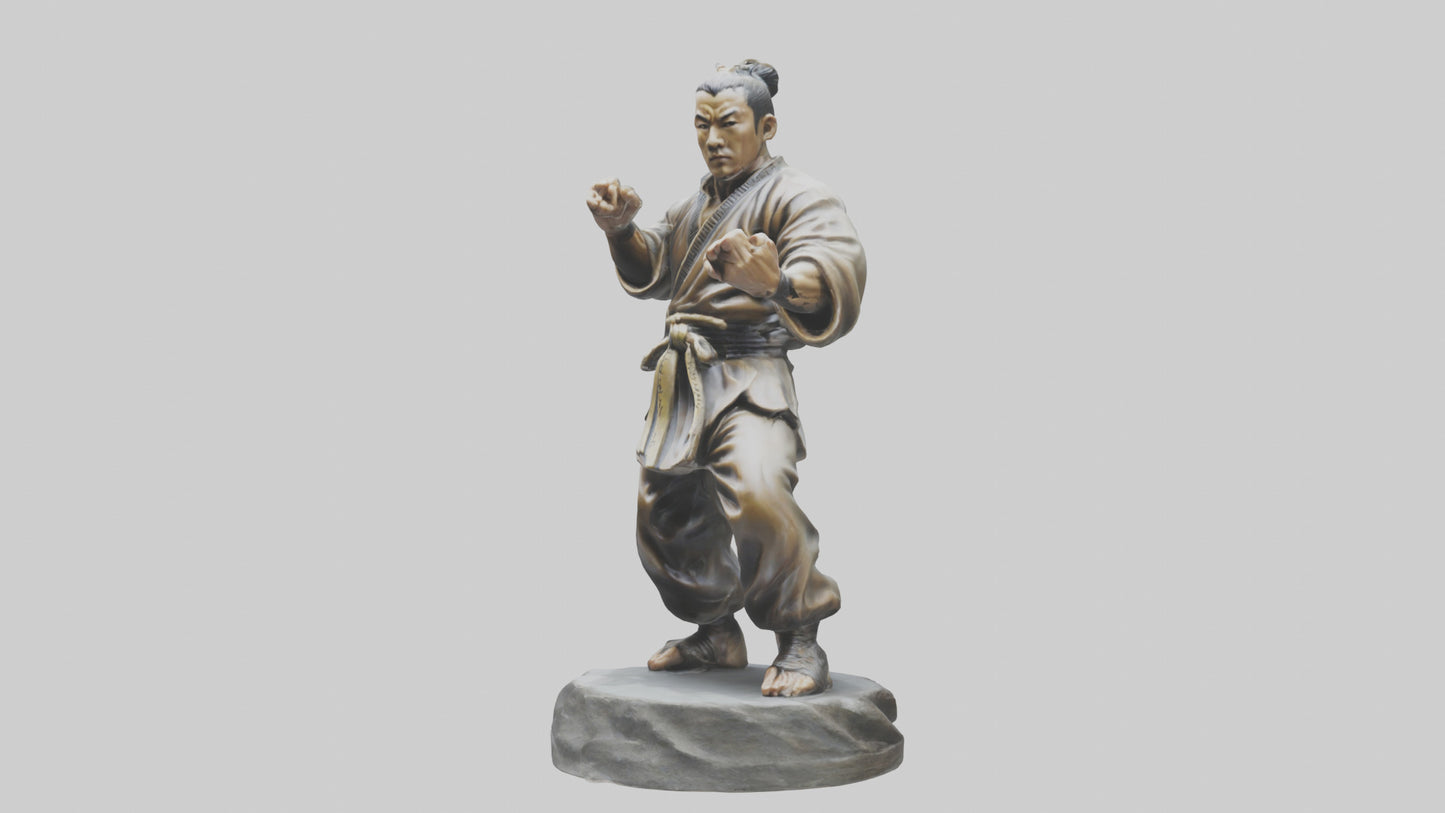 3D model Kung Fu Fighter statue model VR / AR / low-poly