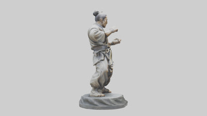 3D model Kung Fu Fighter statue model VR / AR / low-poly