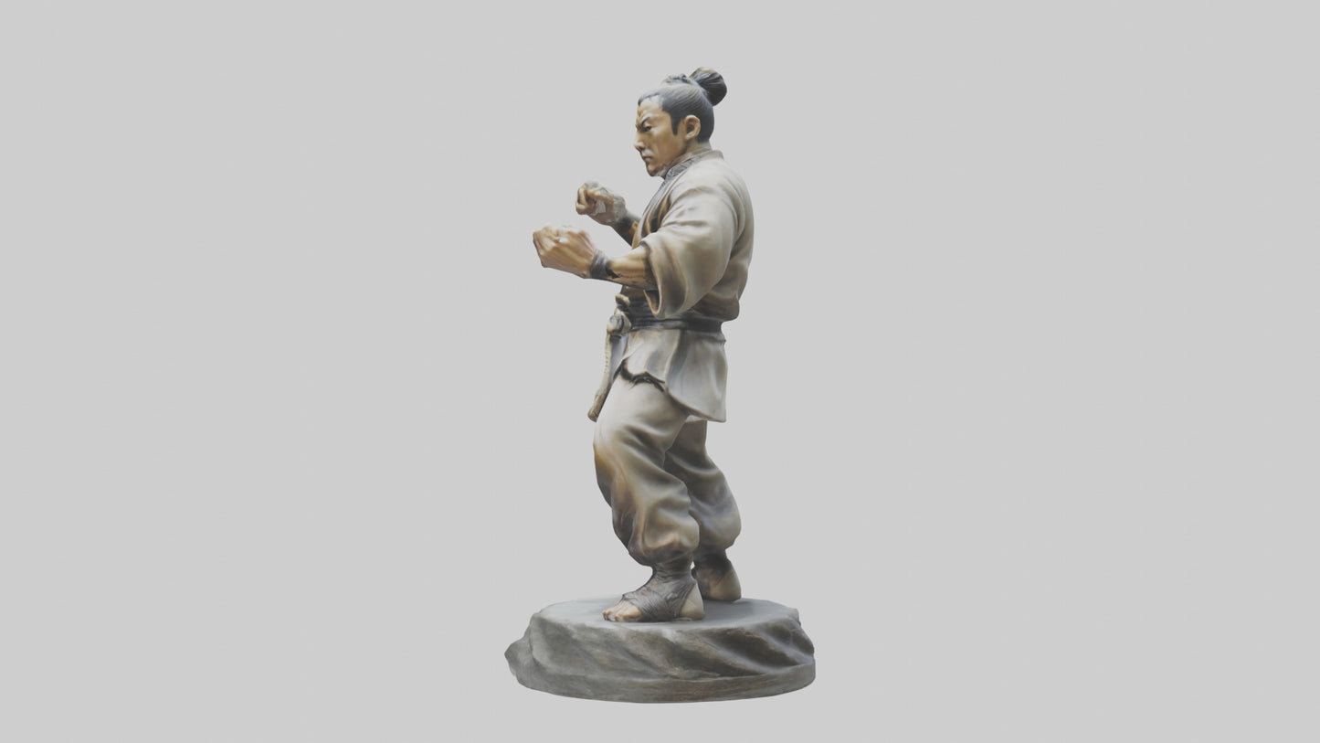 3D model Kung Fu Fighter statue model VR / AR / low-poly