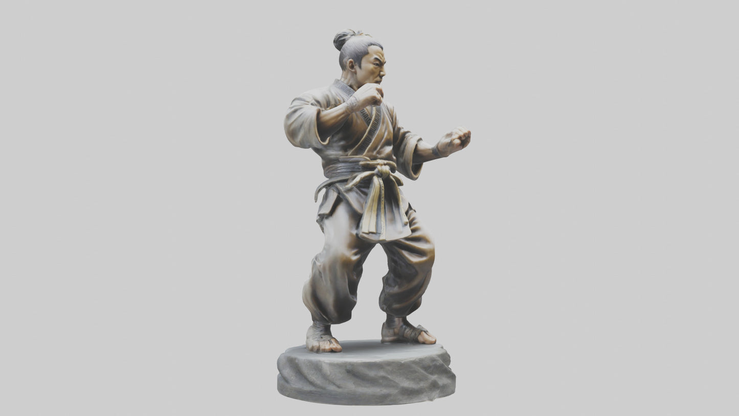 3D model Kung Fu Fighter statue model VR / AR / low-poly
