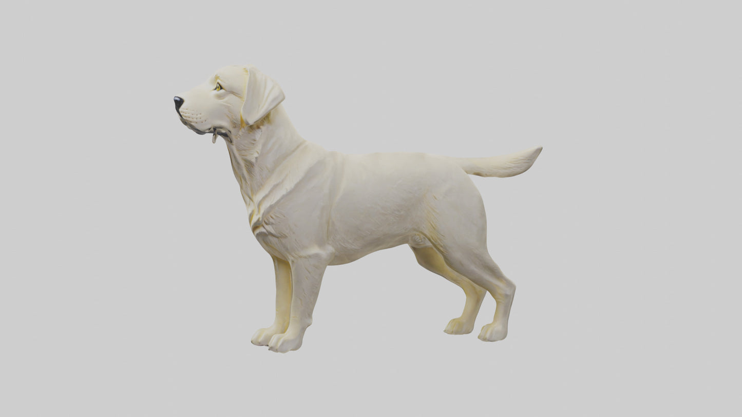 Labrador Retriever statue model VR / AR / low-poly