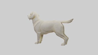 Labrador Retriever statue model VR / AR / low-poly