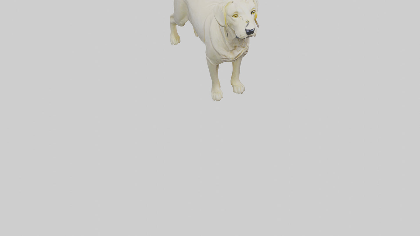 Labrador Retriever statue model VR / AR / low-poly