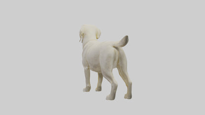 Labrador Retriever statue model VR / AR / low-poly