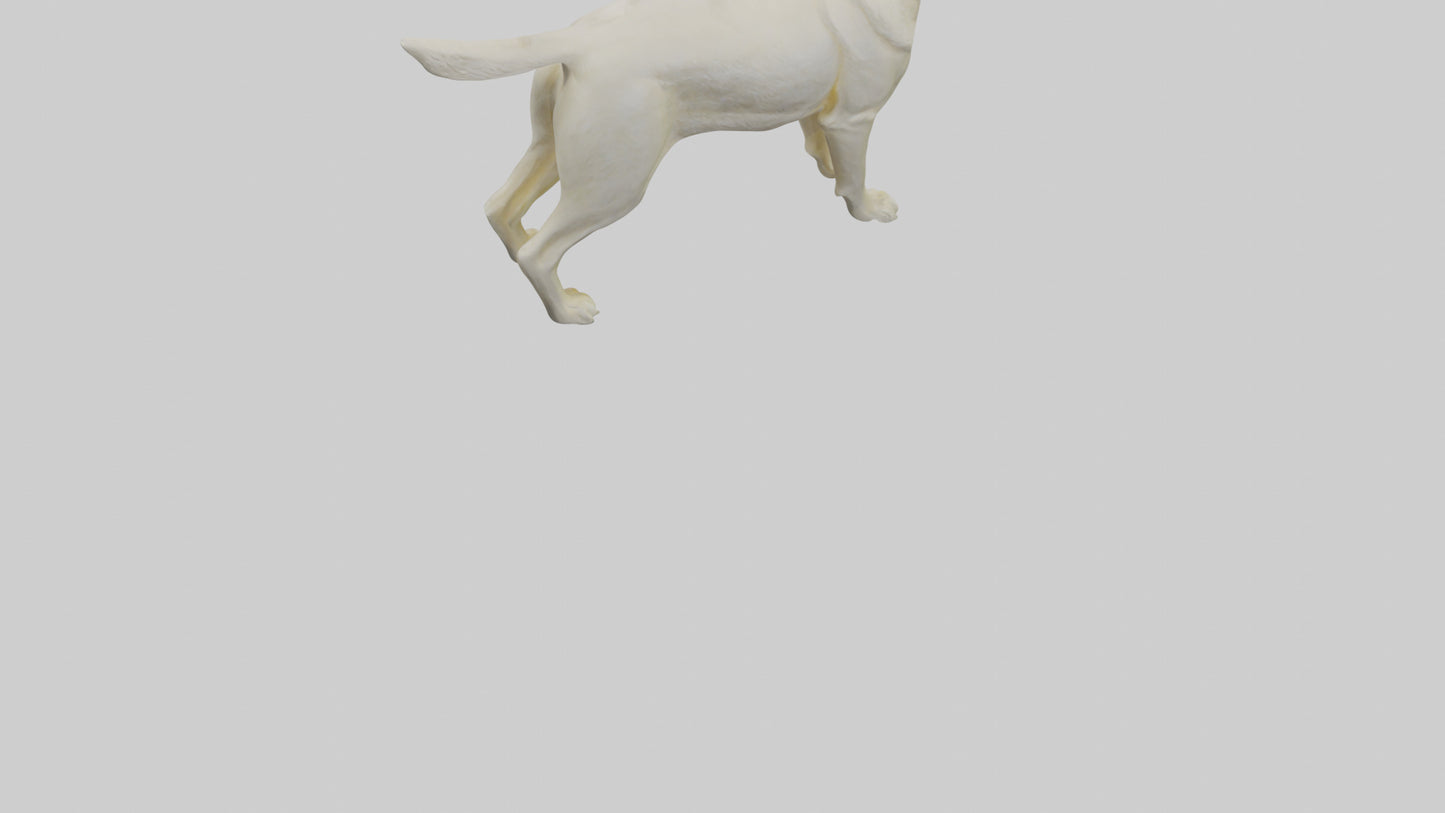 Labrador Retriever statue model VR / AR / low-poly