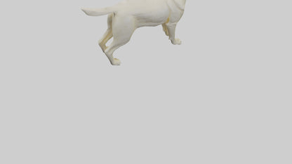 Labrador Retriever statue model VR / AR / low-poly