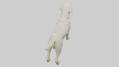 Labrador Retriever statue model VR / AR / low-poly