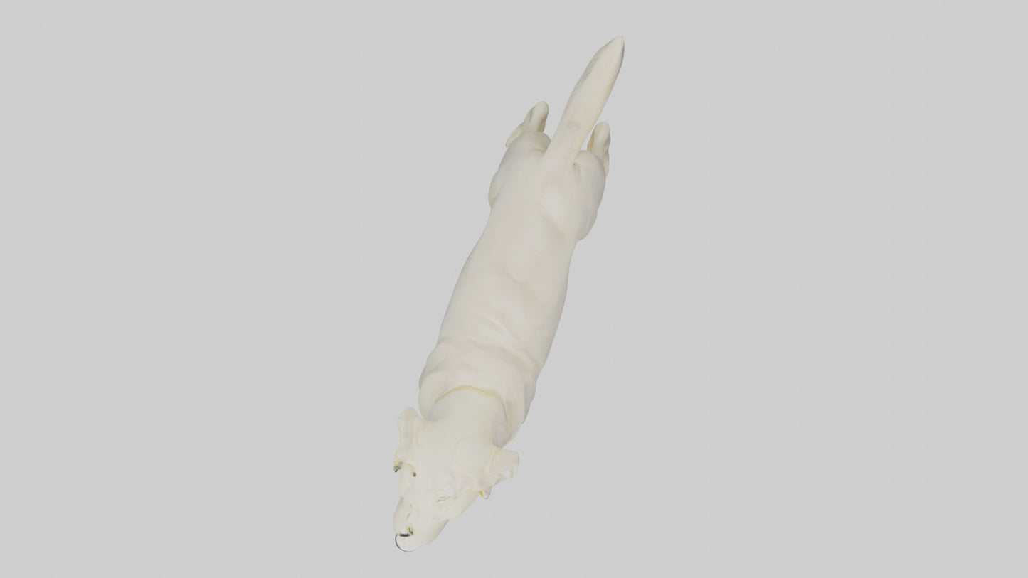 Labrador Retriever statue model VR / AR / low-poly