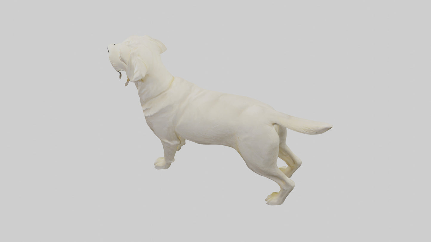 Labrador Retriever statue model VR / AR / low-poly
