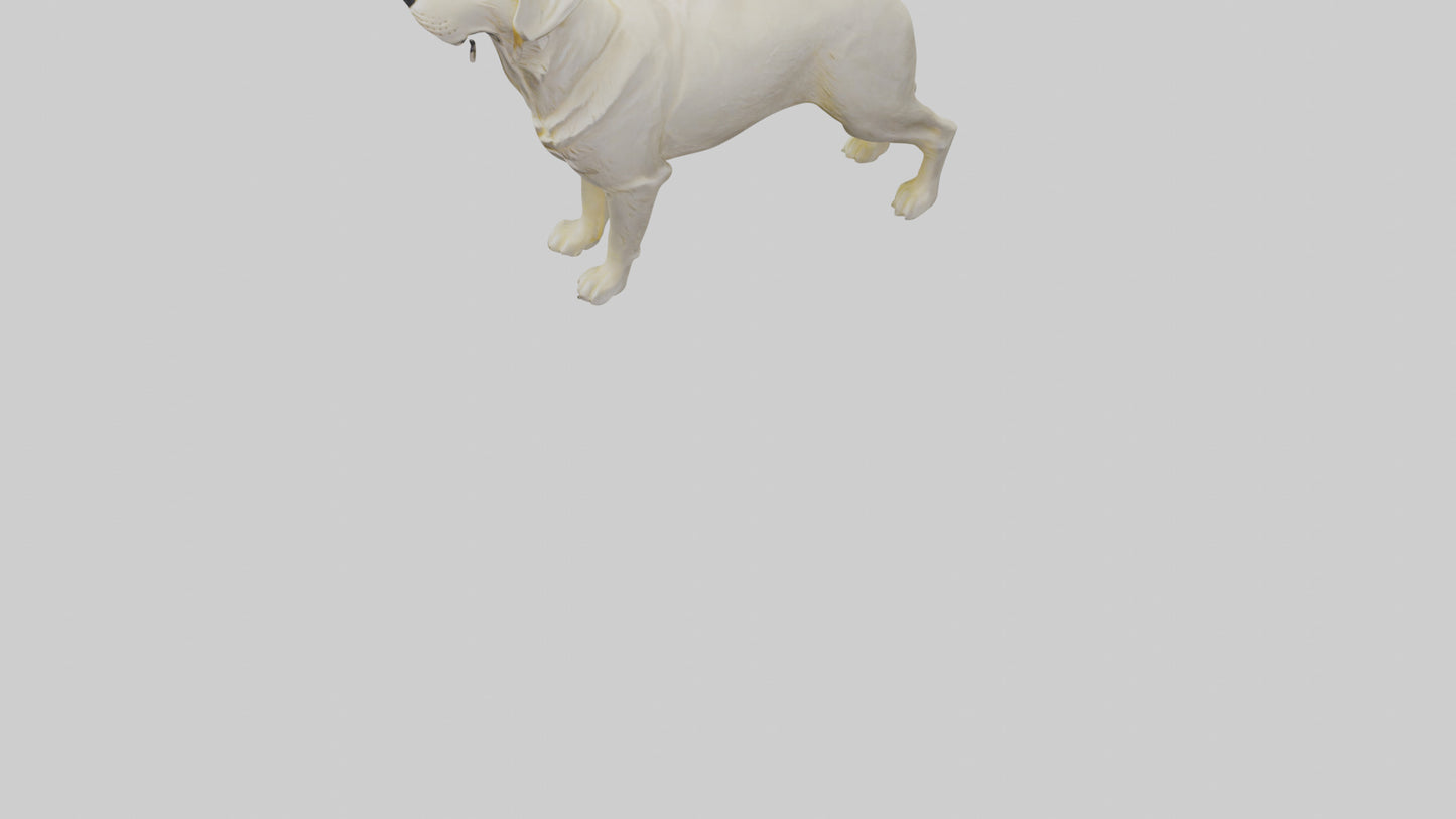 Labrador Retriever statue model VR / AR / low-poly