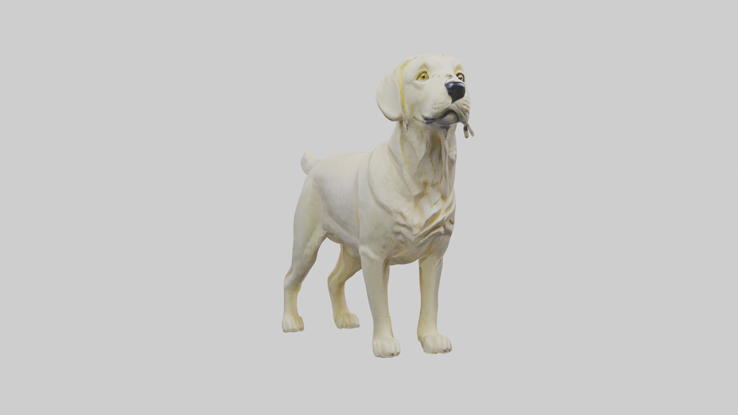 Labrador Retriever statue model VR / AR / low-poly