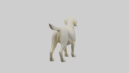 Labrador Retriever statue model VR / AR / low-poly