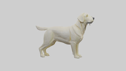 Labrador Retriever statue model VR / AR / low-poly