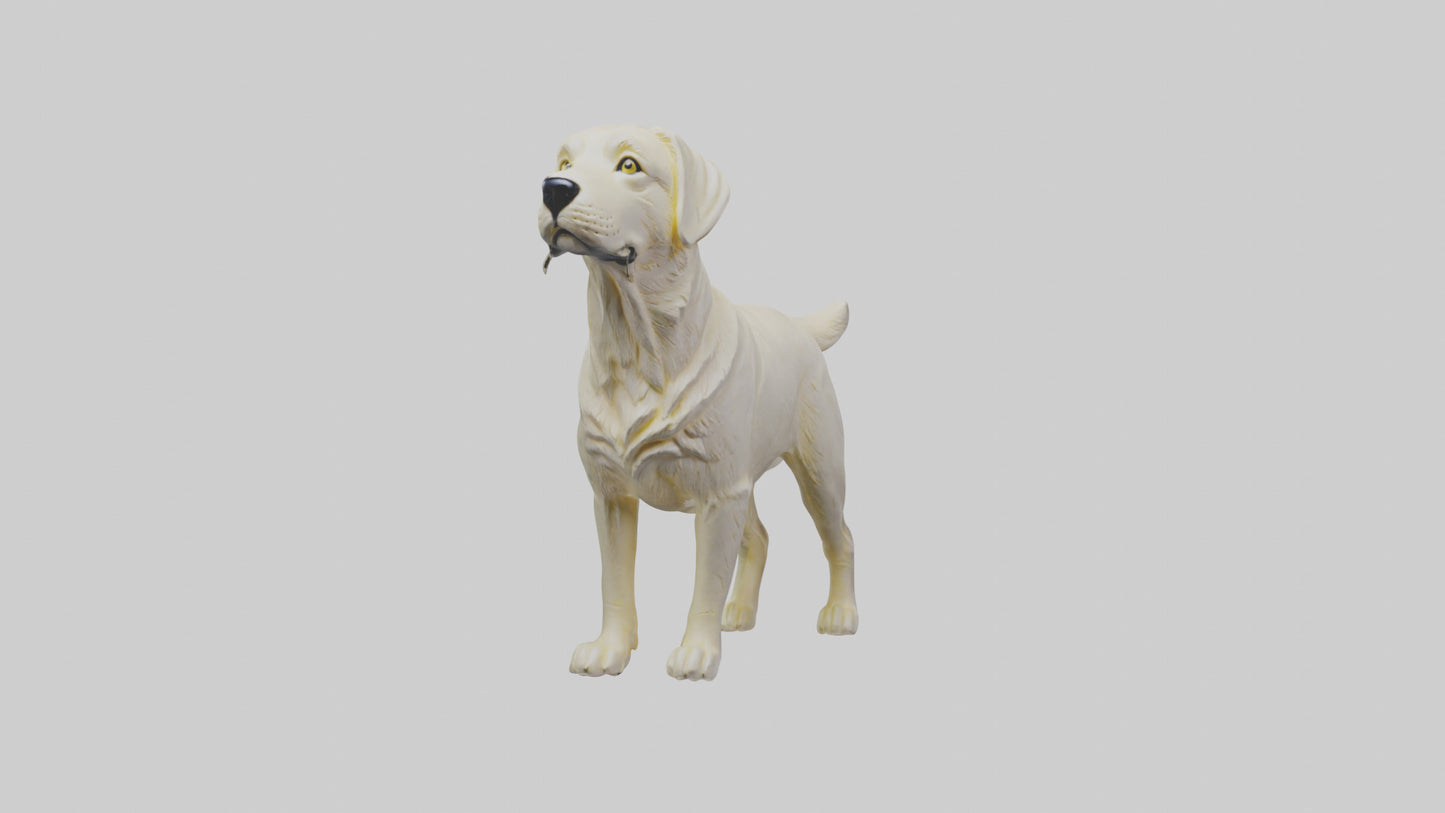 Labrador Retriever statue model VR / AR / low-poly