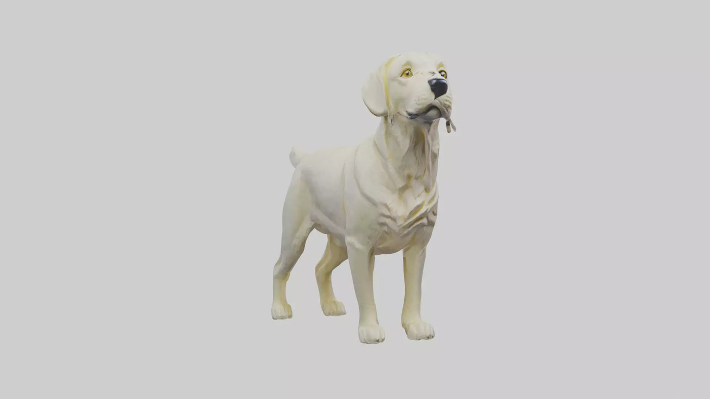 Labrador Retriever statue model VR / AR / low-poly