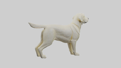 Labrador Retriever statue model VR / AR / low-poly