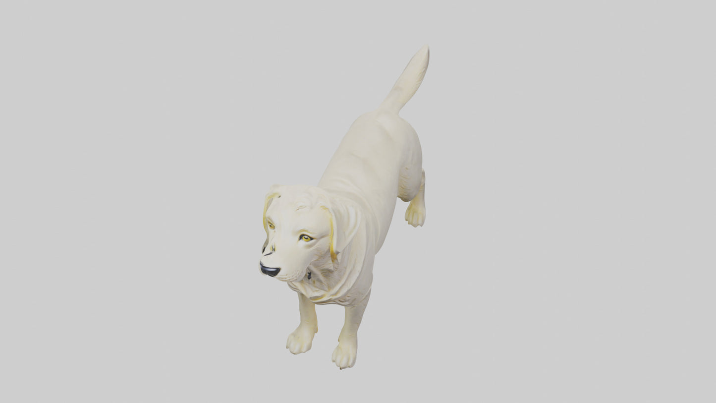 Labrador Retriever statue model VR / AR / low-poly