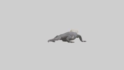 Lace Monitor resting model VR / AR / low-poly